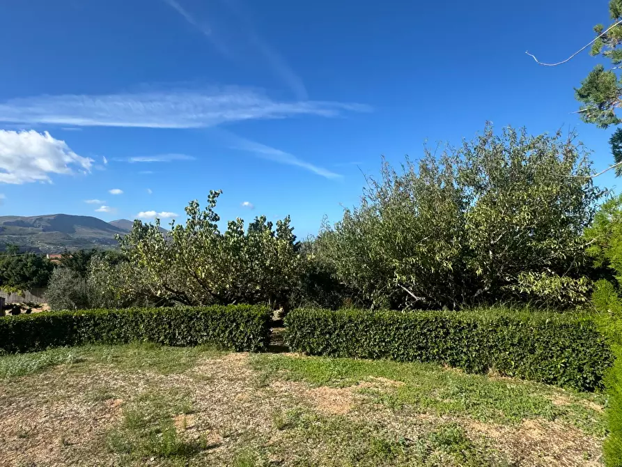 Immagine 8 di Villa in affitto  in Contrada Acquavite a Castellammare Del Golfo