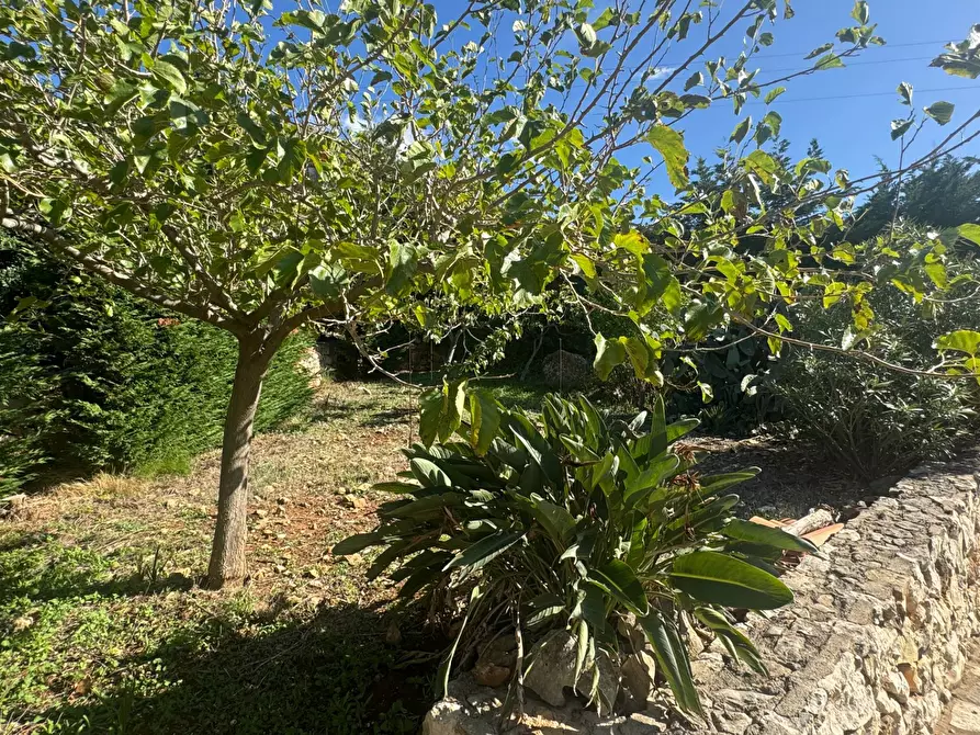 Immagine 10 di Villa in affitto  in Contrada Acquavite a Castellammare Del Golfo