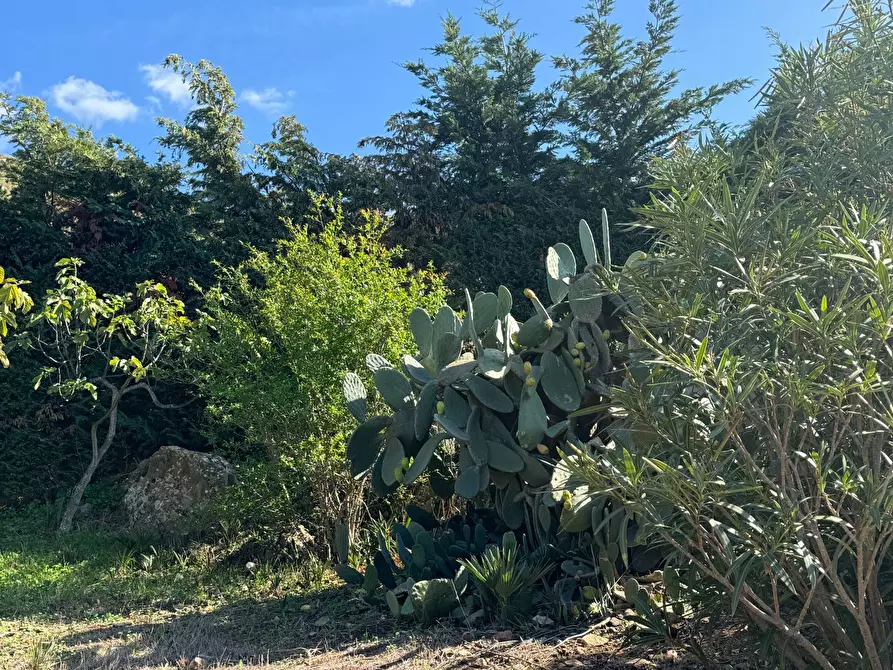 Immagine 11 di Villa in affitto  in Contrada Acquavite a Castellammare Del Golfo