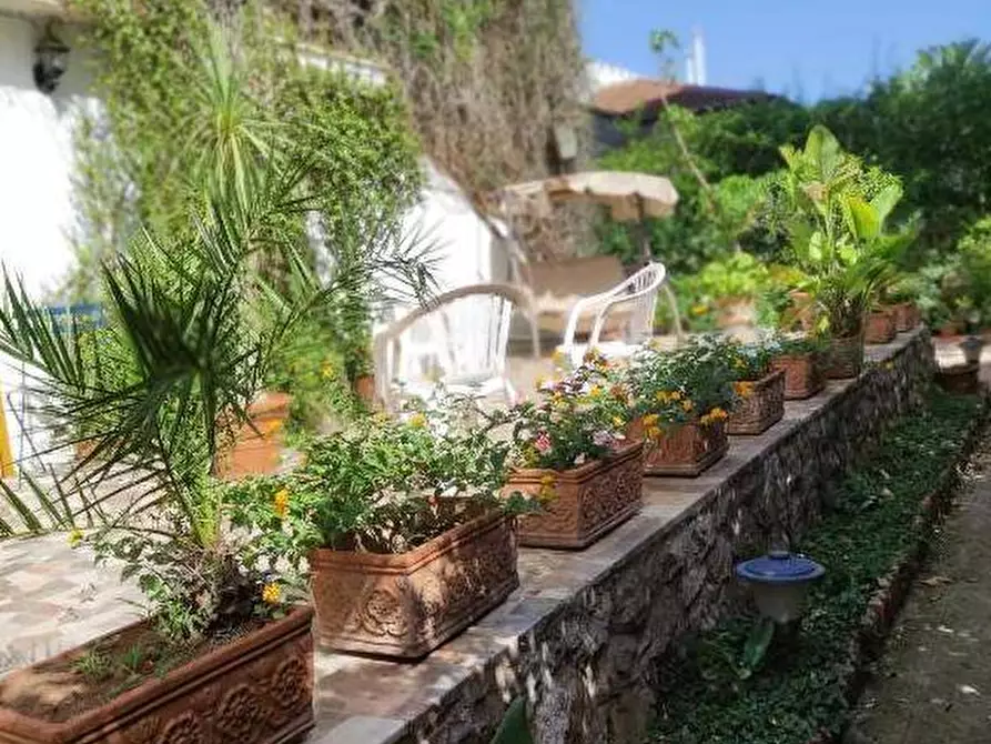 Immagine 19 di Villetta a schiera in affitto  in Viale Margherita Di Savoia a Palermo