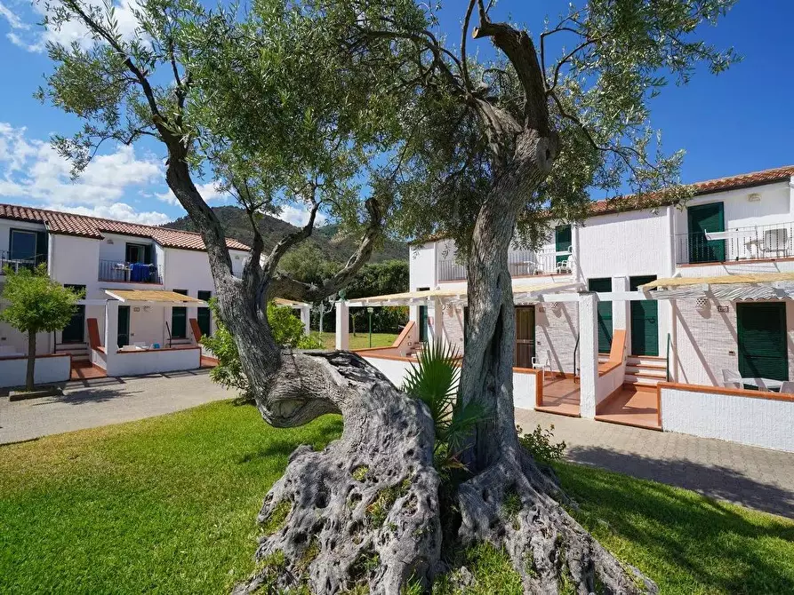 Immagine 3 di Multiproprietà in vendita  in Contrada Mazzaforno a Cefalù