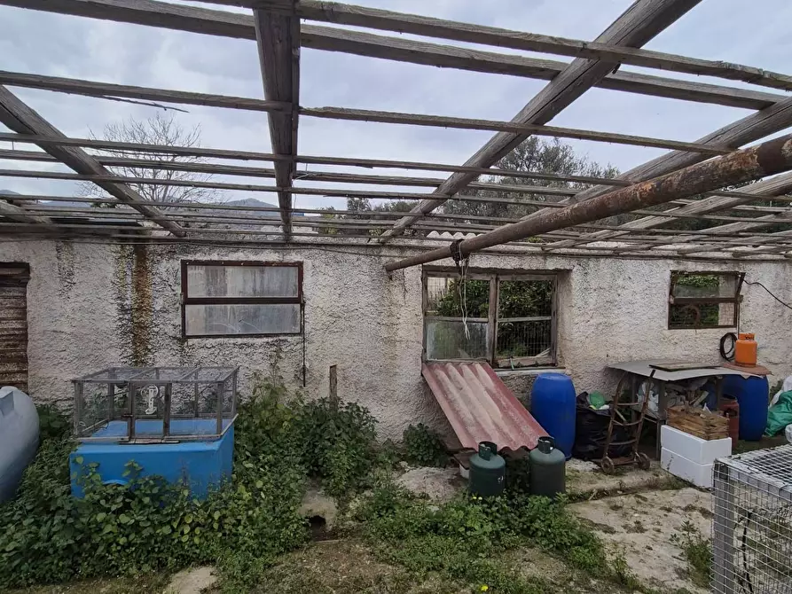 Immagine 8 di Terreno residenziale in vendita  in Via Medusa a Palermo