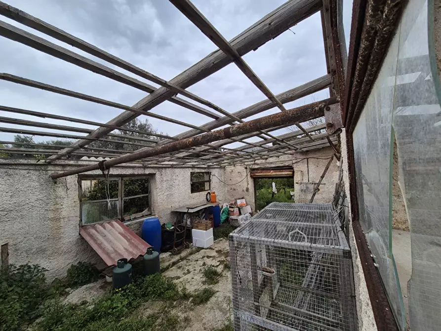 Immagine 11 di Terreno residenziale in vendita  in Via Medusa a Palermo