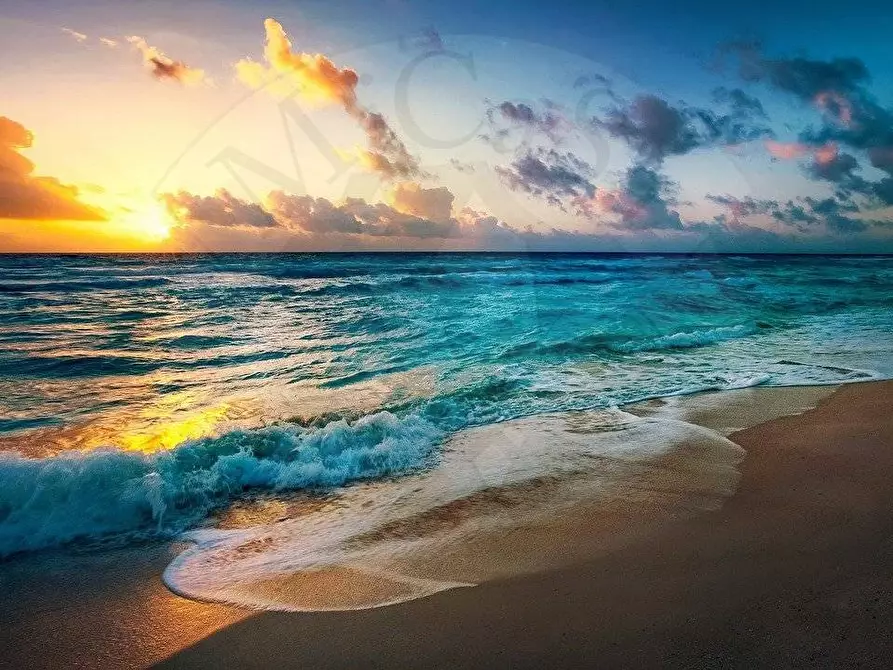 Immagine 4 di Locale commerciale in vendita  in Via Giovanni Pascoli a Livorno