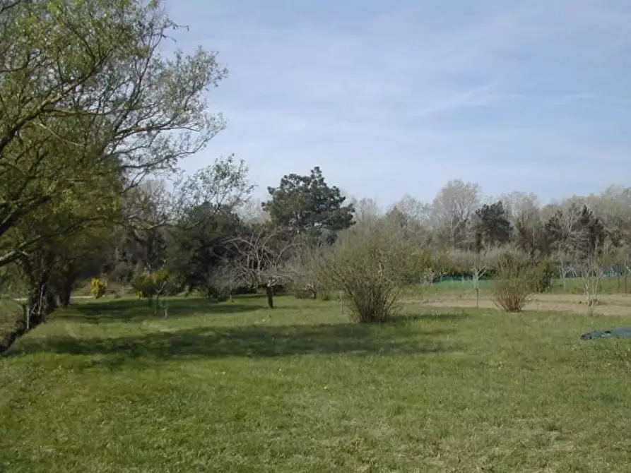 Immagine 1 di Terreno agricolo in vendita  in DEI LIGUSTRI a Pisa