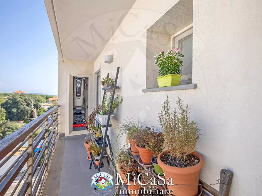 Immagine 13 di Attico in vendita  in Via Milazzo a Pisa