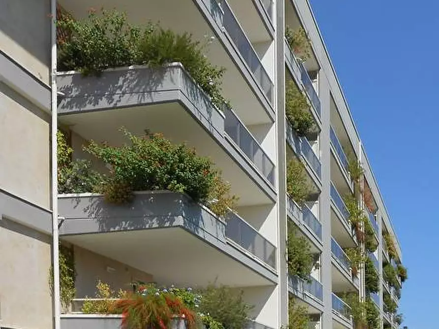 Immagine 3 di Appartamento in vendita  in Strada Vicinale San Pasquale a Bari