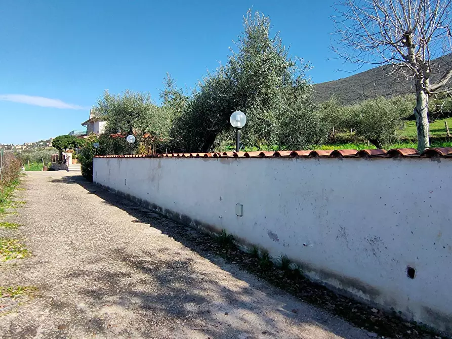 Immagine 5 di Villa in vendita  in via delle pilozze a Palombara Sabina