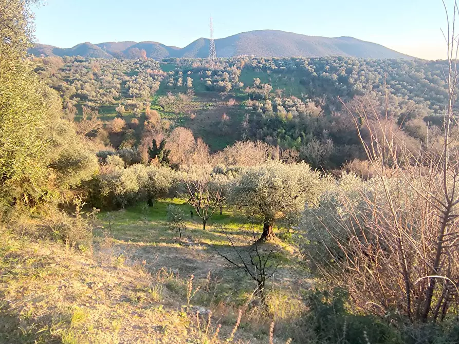 Immagine 2 di Terreno agricolo in vendita  in via dei valloni a Marcellina