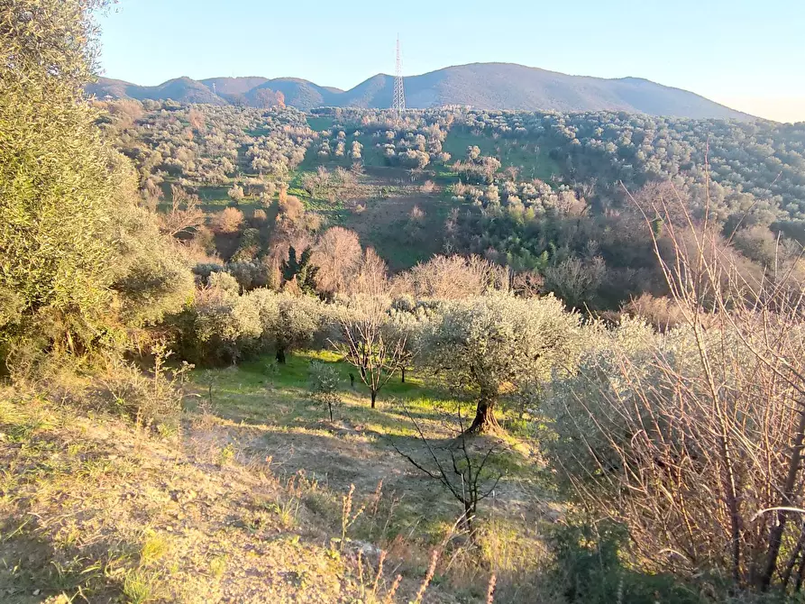 Immagine 3 di Terreno agricolo in vendita  in via dei valloni a Marcellina