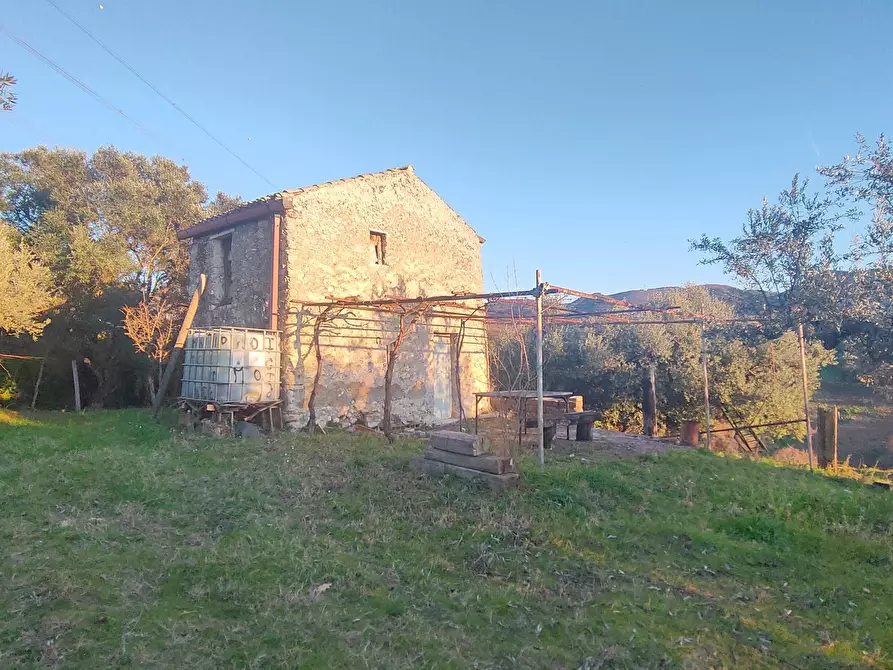 Immagine 1 di Terreno agricolo in vendita  in via dei valloni a Marcellina