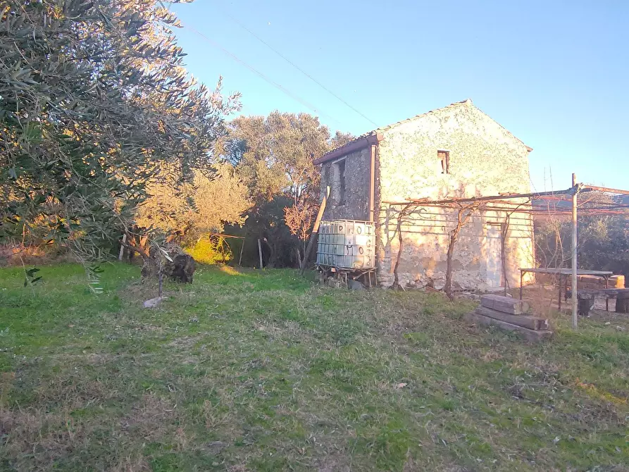 Immagine 6 di Terreno agricolo in vendita  in via dei valloni a Marcellina
