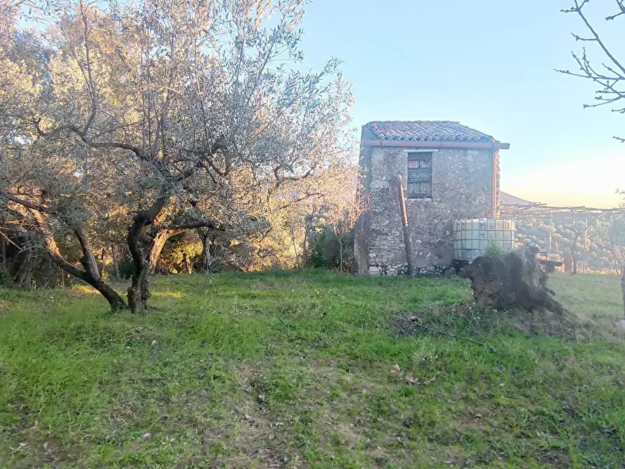 Immagine 7 di Terreno agricolo in vendita  in via dei valloni a Marcellina