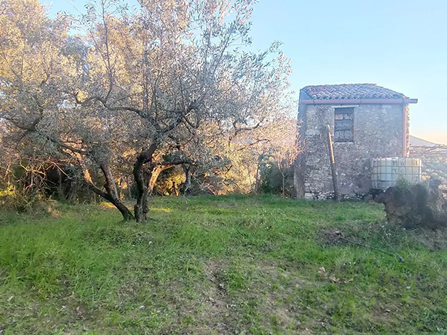 Immagine 8 di Terreno agricolo in vendita  in via dei valloni a Marcellina