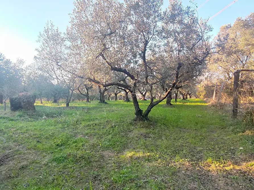 Immagine 9 di Terreno agricolo in vendita  in via dei valloni a Marcellina