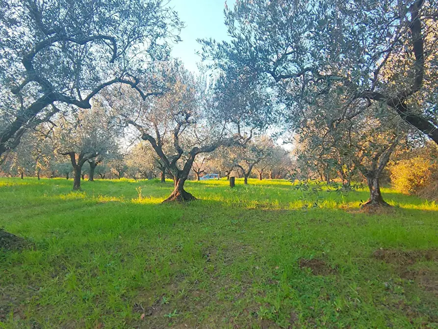 Immagine 10 di Terreno agricolo in vendita  in via dei valloni a Marcellina
