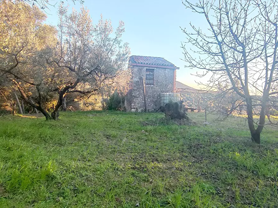Immagine 11 di Terreno agricolo in vendita  in via dei valloni a Marcellina