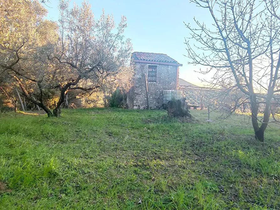 Immagine 12 di Terreno agricolo in vendita  in via dei valloni a Marcellina