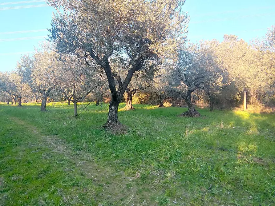 Immagine 13 di Terreno agricolo in vendita  in via dei valloni a Marcellina