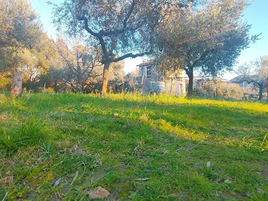 Immagine 14 di Terreno agricolo in vendita  in via dei valloni a Marcellina