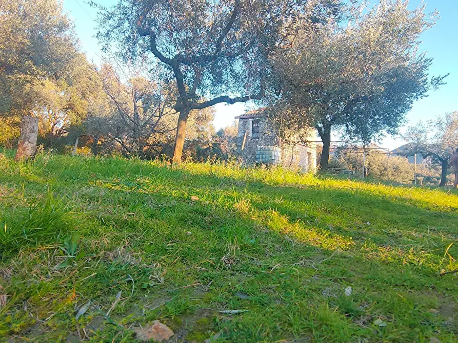 Immagine 15 di Terreno agricolo in vendita  in via dei valloni a Marcellina