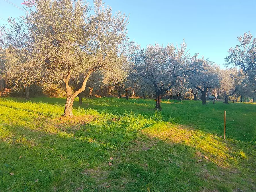 Immagine 16 di Terreno agricolo in vendita  in via dei valloni a Marcellina