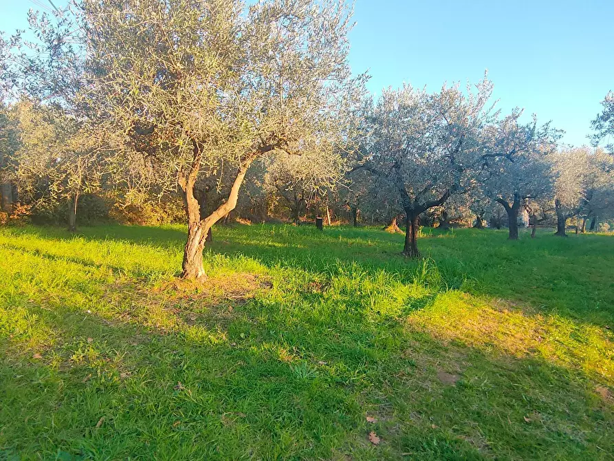 Immagine 17 di Terreno agricolo in vendita  in via dei valloni a Marcellina