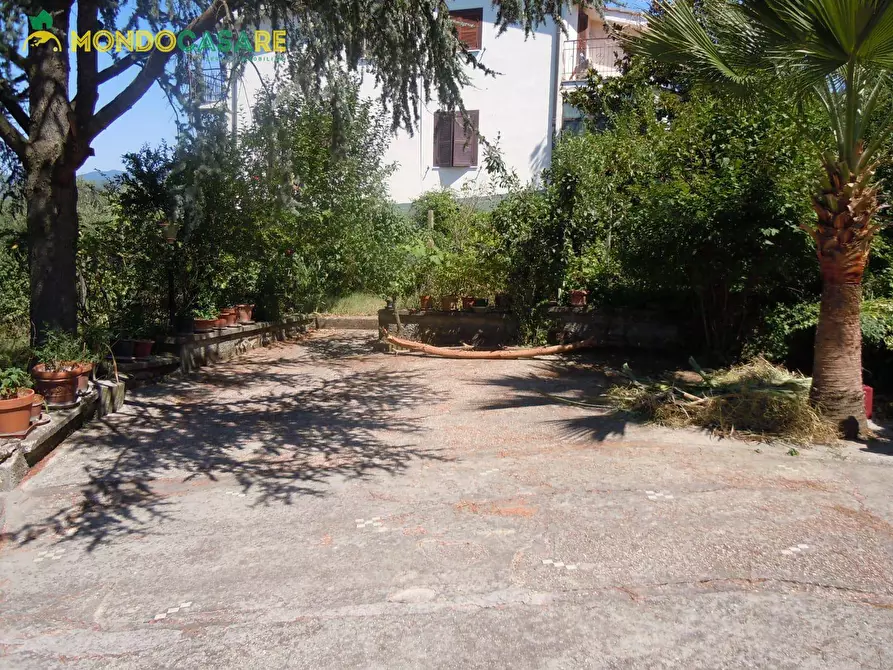 Immagine 5 di Villa in vendita  in strada colle pedeschiavo a Palombara Sabina