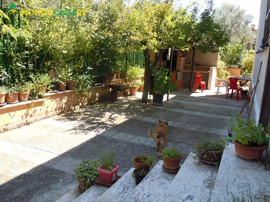 Immagine 17 di Villa in vendita  in strada colle pedeschiavo a Palombara Sabina