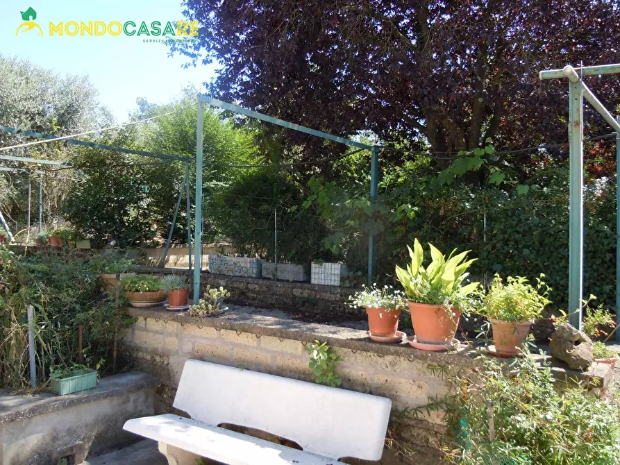 Immagine 6 di Villa in vendita  in strada colle pedeschiavo a Palombara Sabina