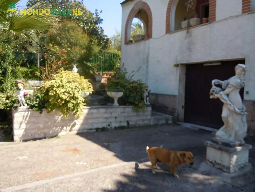 Immagine 9 di Villa in vendita  in strada colle pedeschiavo a Palombara Sabina