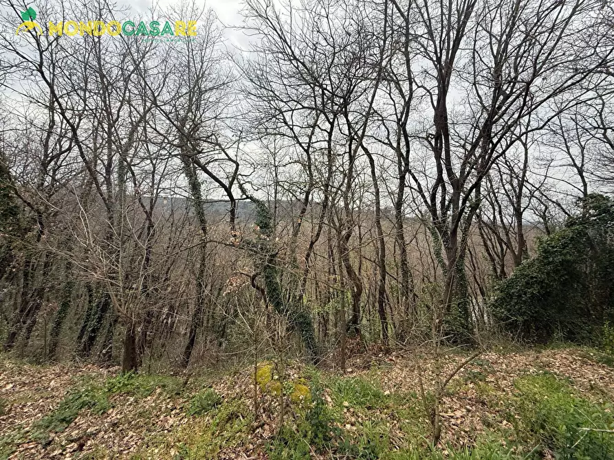 Immagine 3 di Terreno agricolo in vendita  in Località Ferrari a Palombara Sabina