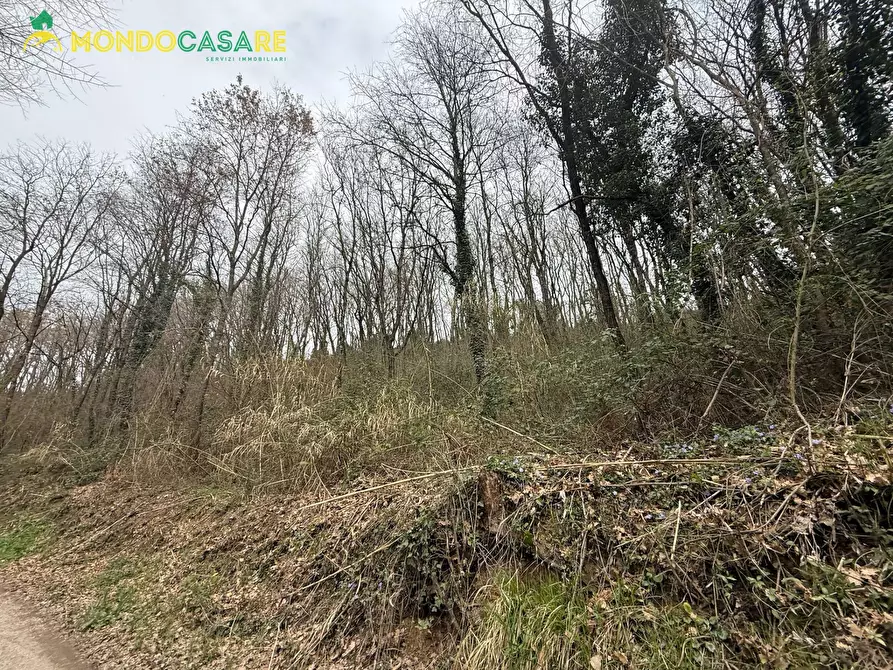Immagine 4 di Terreno agricolo in vendita  in Località Ferrari a Palombara Sabina