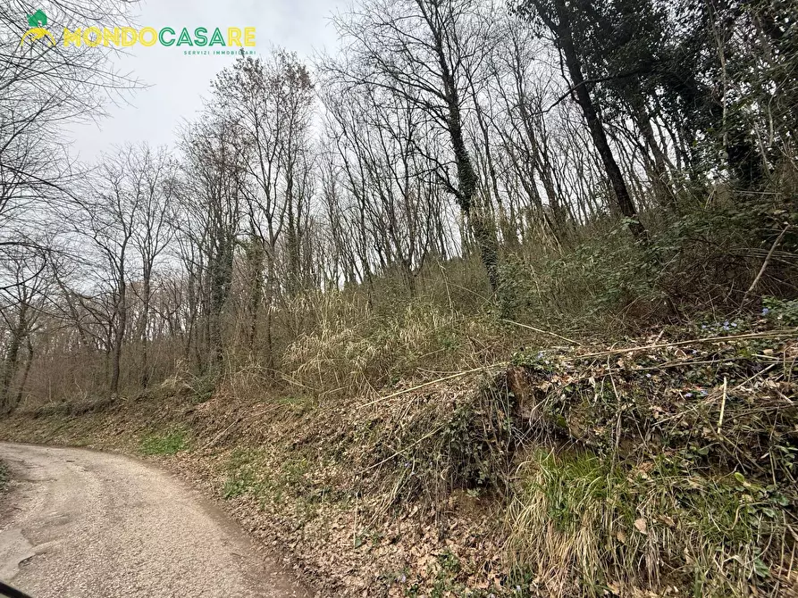 Immagine 5 di Terreno agricolo in vendita  in Località Ferrari a Palombara Sabina
