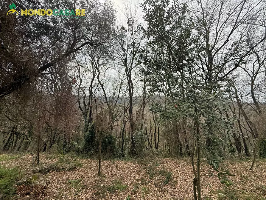 Immagine 6 di Terreno agricolo in vendita  in Località Ferrari a Palombara Sabina