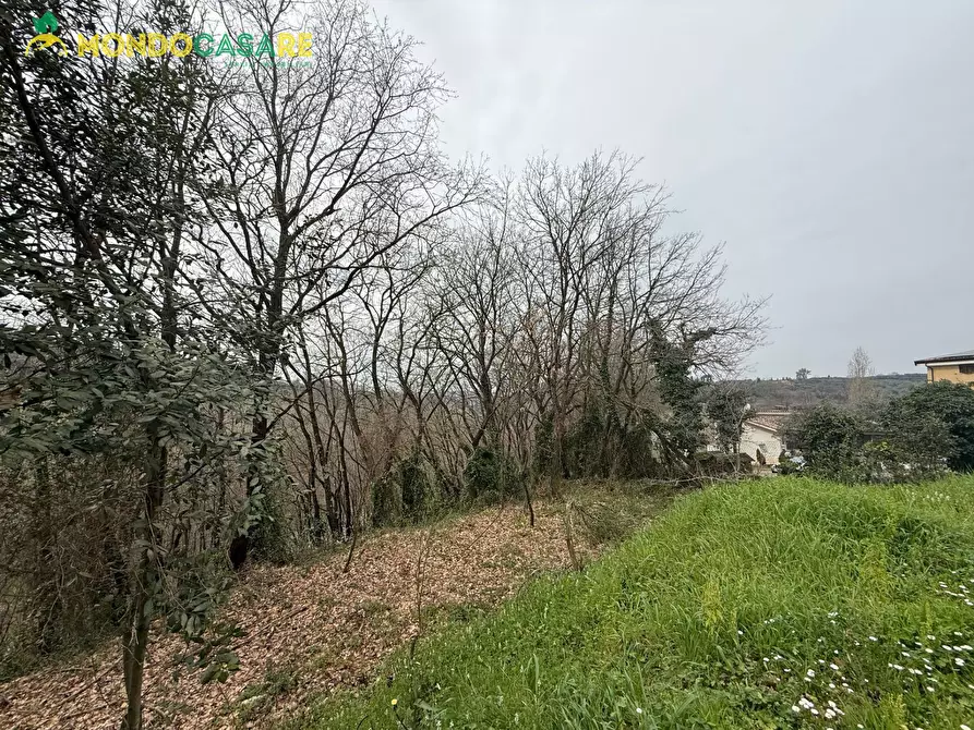 Immagine 2 di Terreno agricolo in vendita  in Località Ferrari a Palombara Sabina