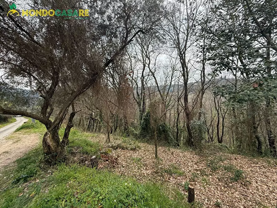 Immagine 8 di Terreno agricolo in vendita  in Località Ferrari a Palombara Sabina