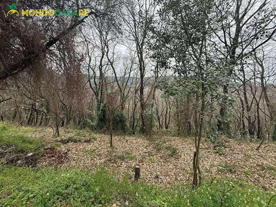 Immagine 9 di Terreno agricolo in vendita  in Località Ferrari a Palombara Sabina