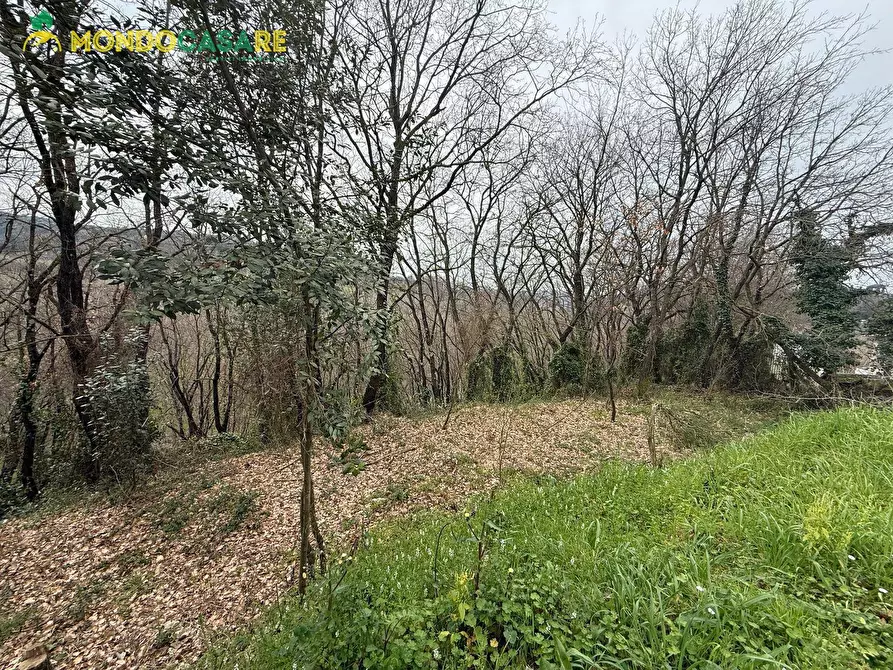 Immagine 10 di Terreno agricolo in vendita  in Località Ferrari a Palombara Sabina