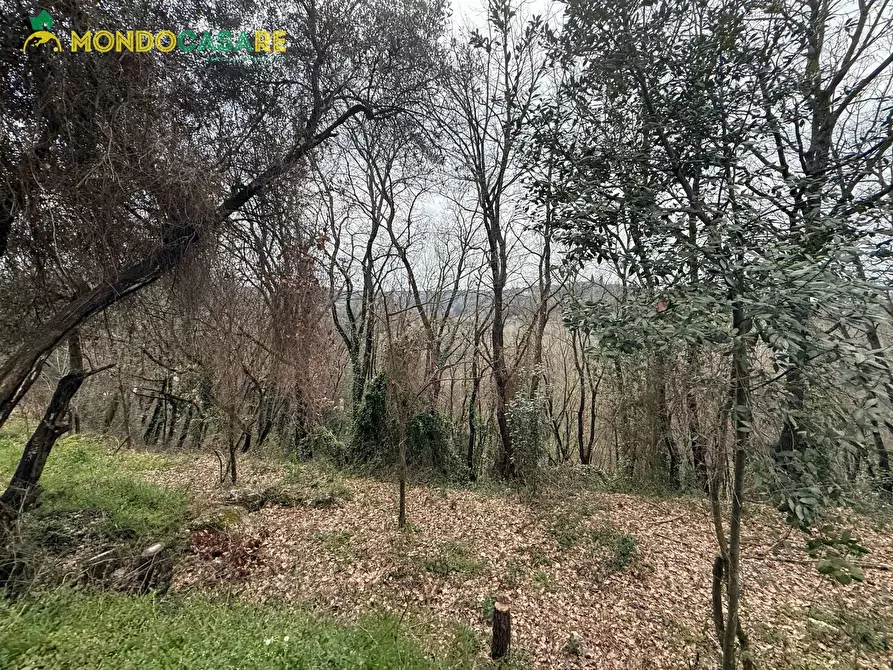 Immagine 11 di Terreno agricolo in vendita  in Località Ferrari a Palombara Sabina