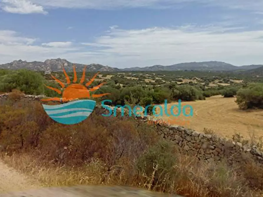 Immagine 20 di Casa indipendente in vendita  in Località Spridda a Olbia