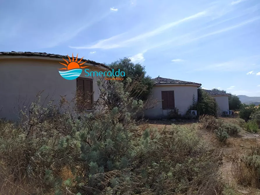 Immagine 4 di Azienda agricola in vendita  a Romana