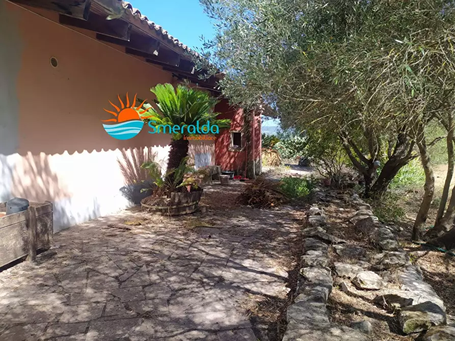 Immagine 6 di Azienda agricola in vendita  a Romana