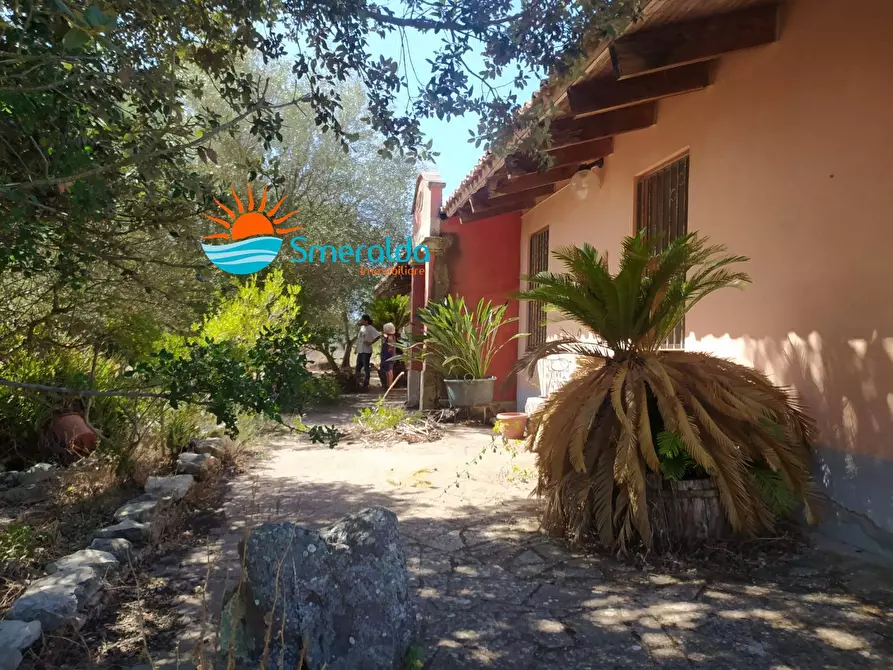 Immagine 3 di Azienda agricola in vendita  a Romana