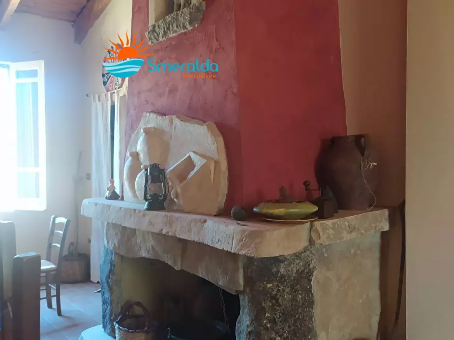 Immagine 12 di Azienda agricola in vendita  a Romana