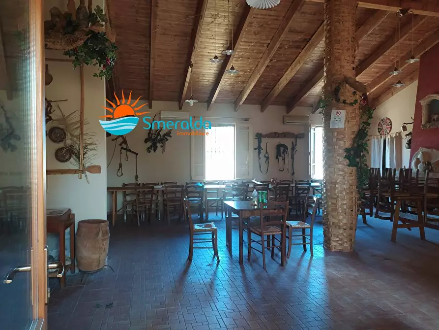 Immagine 5 di Azienda agricola in vendita  a Romana