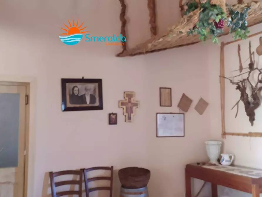 Immagine 24 di Azienda agricola in vendita  a Romana