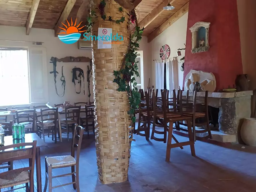 Immagine 25 di Azienda agricola in vendita  a Romana