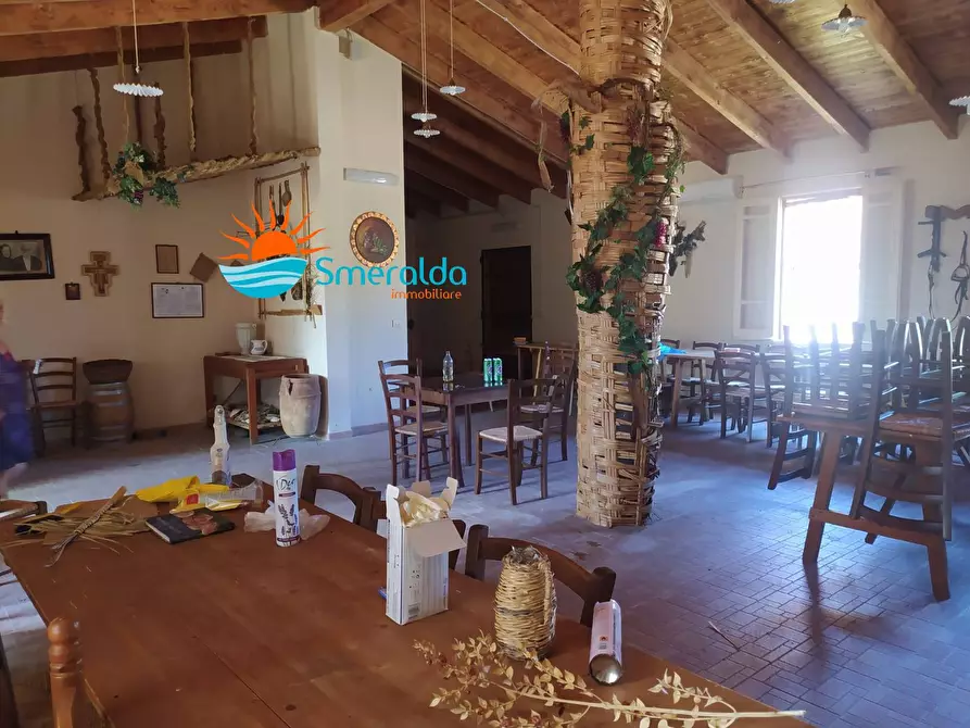 Immagine 22 di Azienda agricola in vendita  a Romana