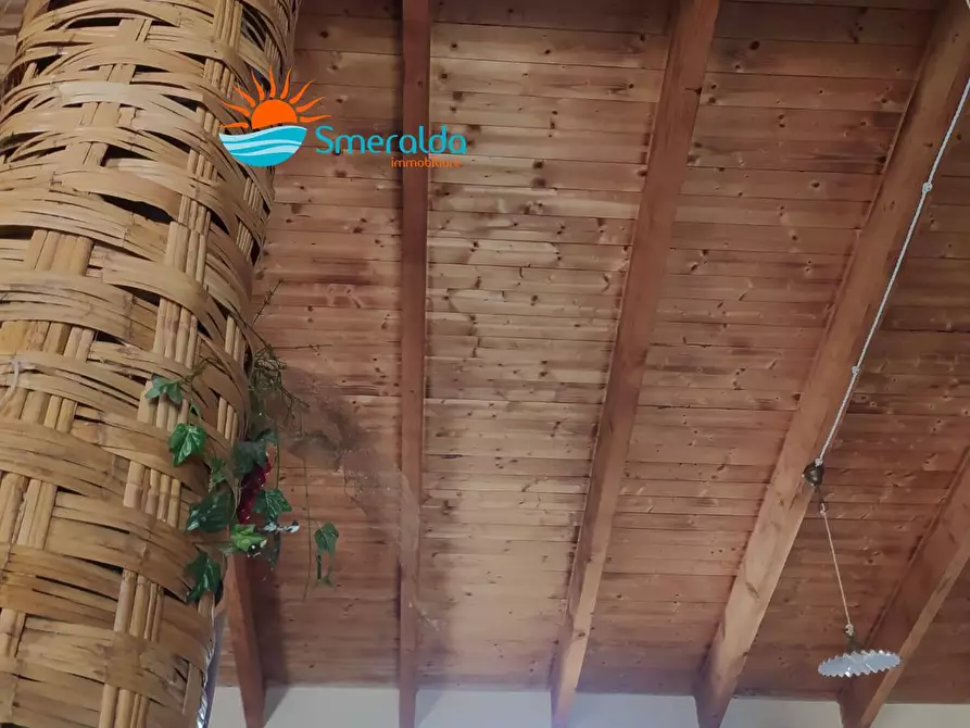 Immagine 27 di Azienda agricola in vendita  a Romana